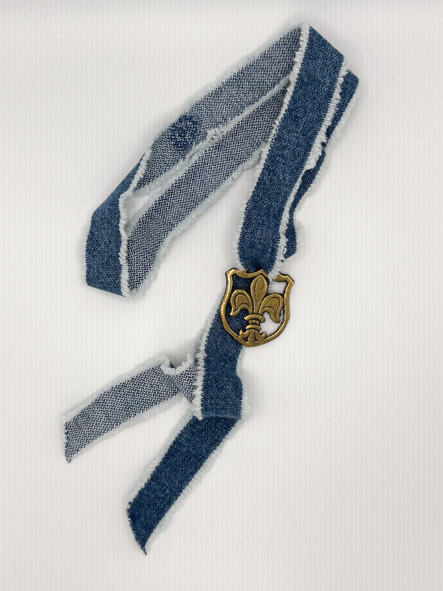 Fleur d' Lis Vintage Pony Brass Medallion + Denim Twilly